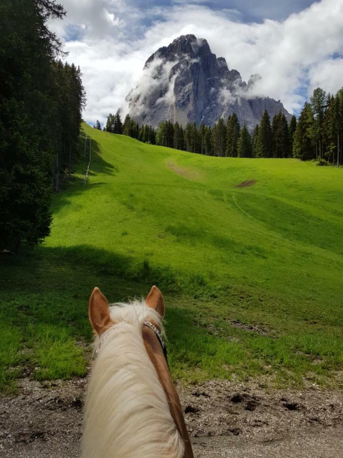 Hotel Pozzamanigoni Selva di Val Gardena Bagian luar foto